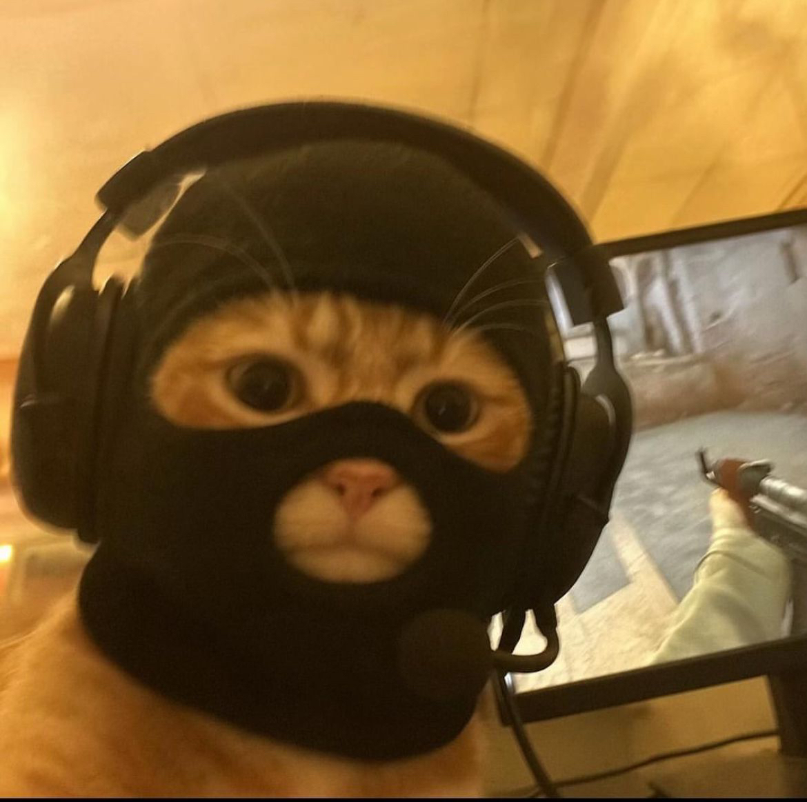 team member picture